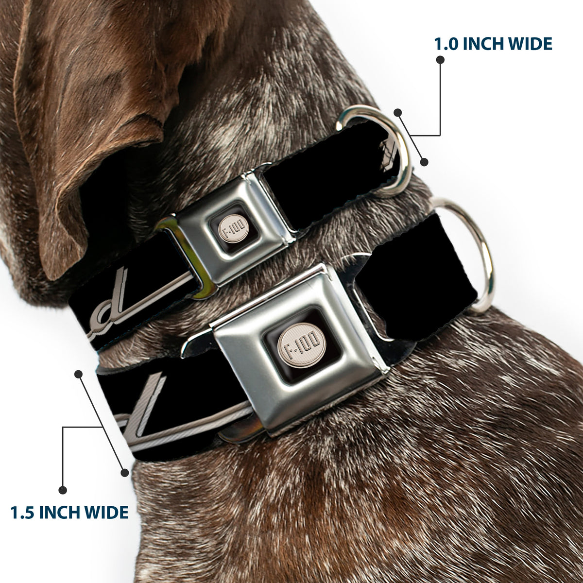 Ford F-100 Logo Full Color Black/Tans Seatbelt Buckle Collar - FORD F-100 Script Black/Tan-Gray Dog Collars Seatbelt Buckle Ford