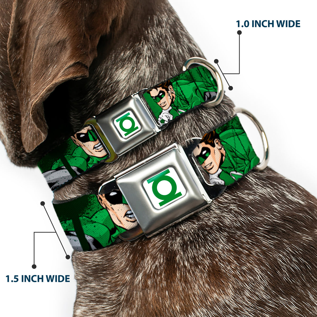 Green Lantern Logo CLOSE-UP White Green Seatbelt Buckle Collar - Green Lantern Green Glow w/Text Dog Collars Seatbelt Buckle DC Comics