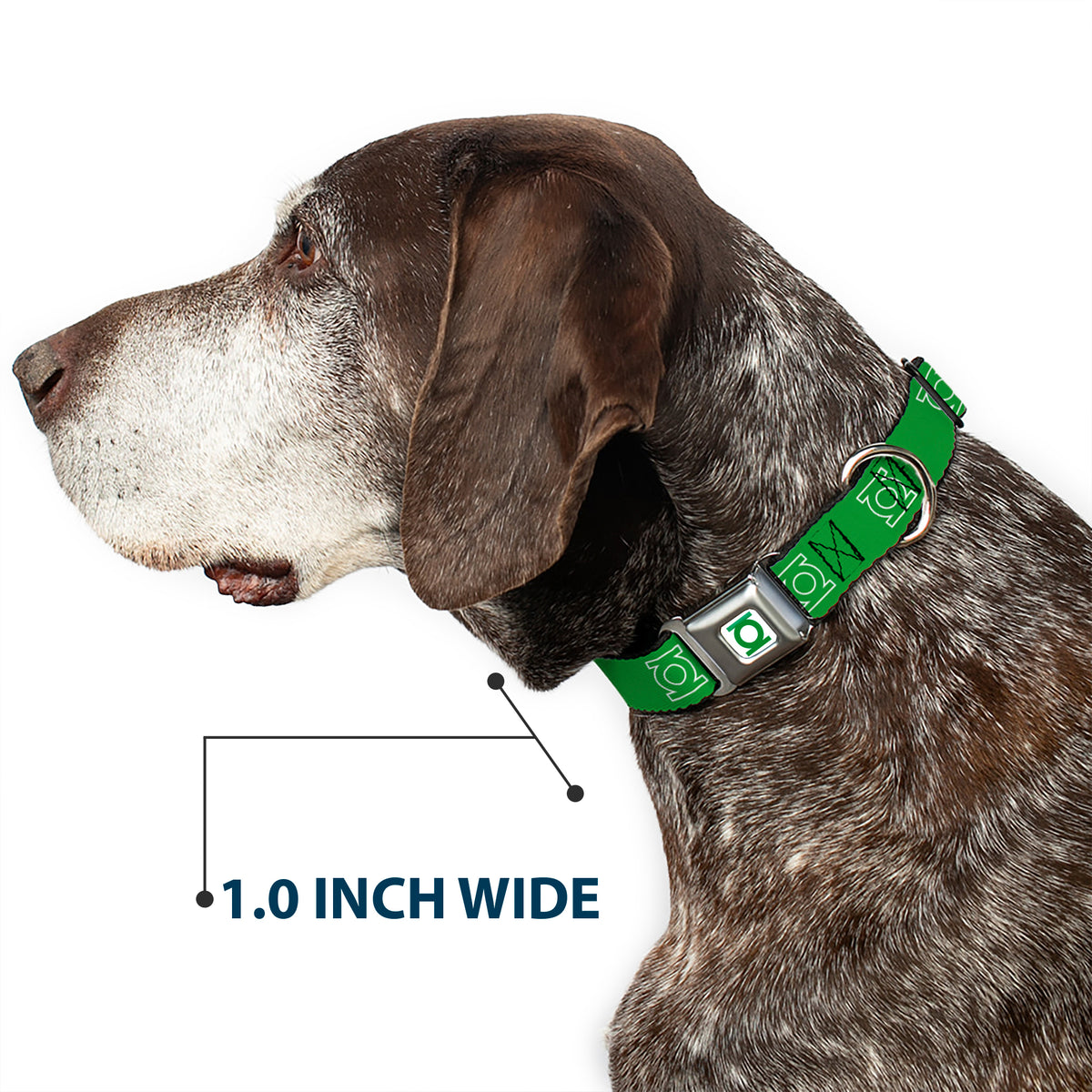 Green Lantern Logo CLOSE-UP White Green Seatbelt Buckle Collar - Green Lantern Logo Green/White Dog Collars Seatbelt Buckle DC Comics