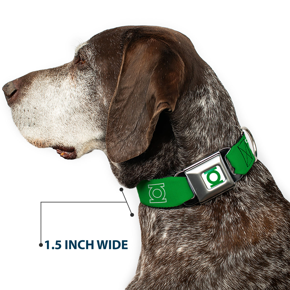 Green Lantern Logo CLOSE-UP White Green Seatbelt Buckle Collar - Green Lantern Logo Green/White Dog Collars Seatbelt Buckle DC Comics