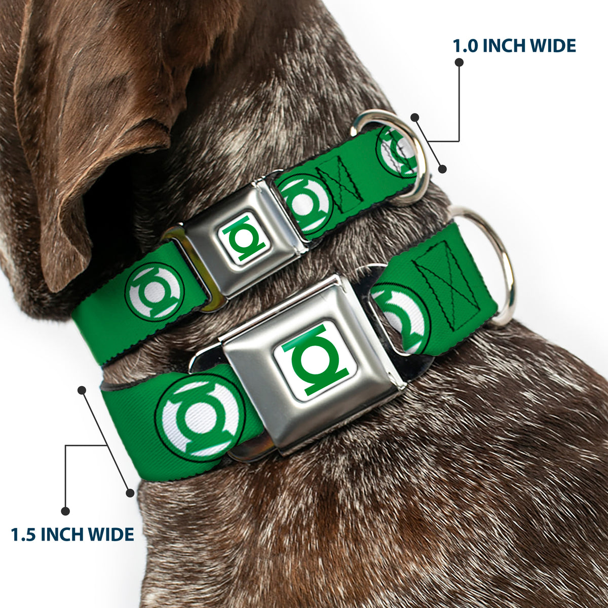 Green Lantern Logo CLOSE-UP Full Color White/Green Seatbelt Buckle Collar - Green Lantern Logo2 Green/Black/Green/White Dog Collars Seatbelt Buckle DC Comics
