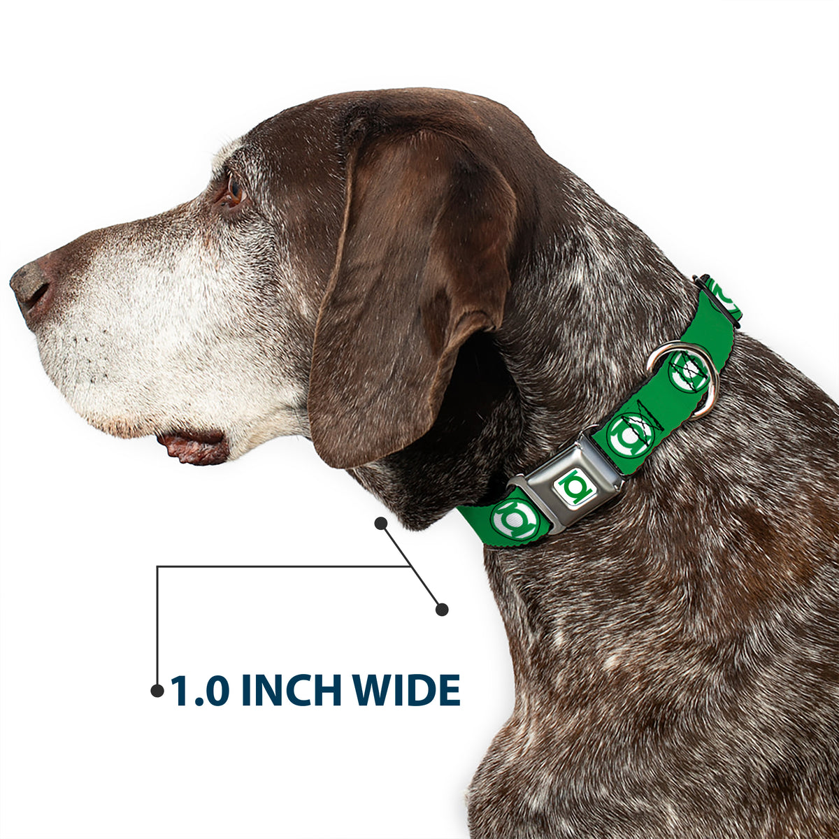 Green Lantern Logo CLOSE-UP Full Color White/Green Seatbelt Buckle Collar - Green Lantern Logo2 Green/Black/Green/White Dog Collars Seatbelt Buckle DC Comics