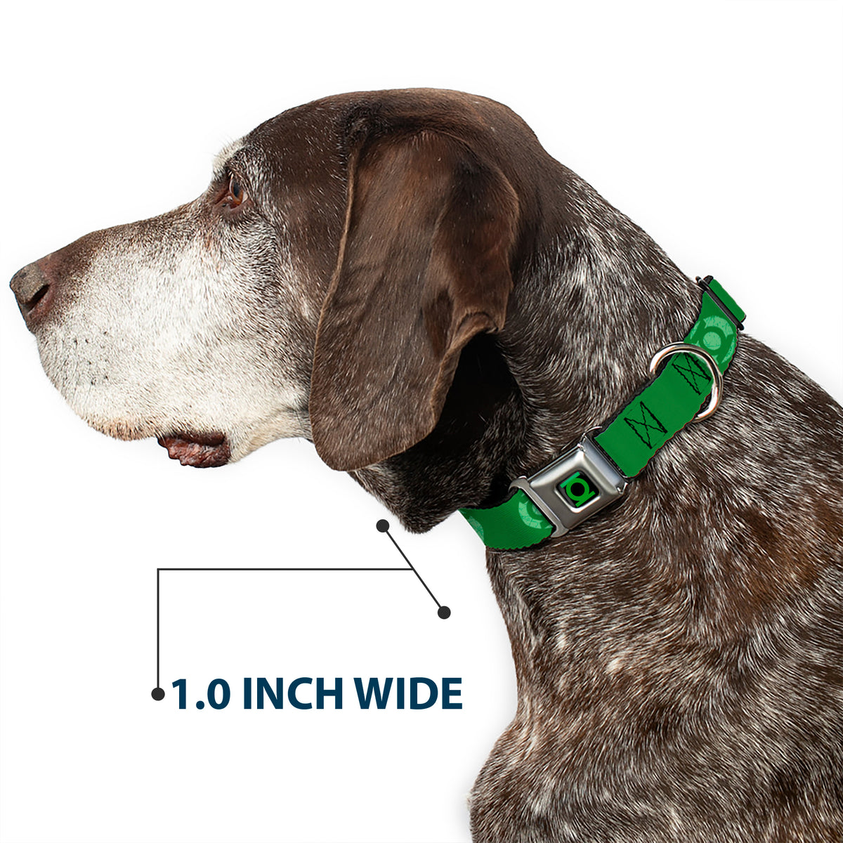 Green Lantern Logo CLOSE-UP Black/Green Seatbelt Buckle Collar - Green Lantern Logo Weathered Greens Dog Collars Seatbelt Buckle DC Comics
