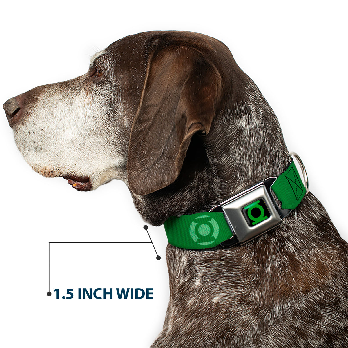 Green Lantern Logo CLOSE-UP Black/Green Seatbelt Buckle Collar - Green Lantern Logo Weathered Greens Dog Collars Seatbelt Buckle DC Comics
