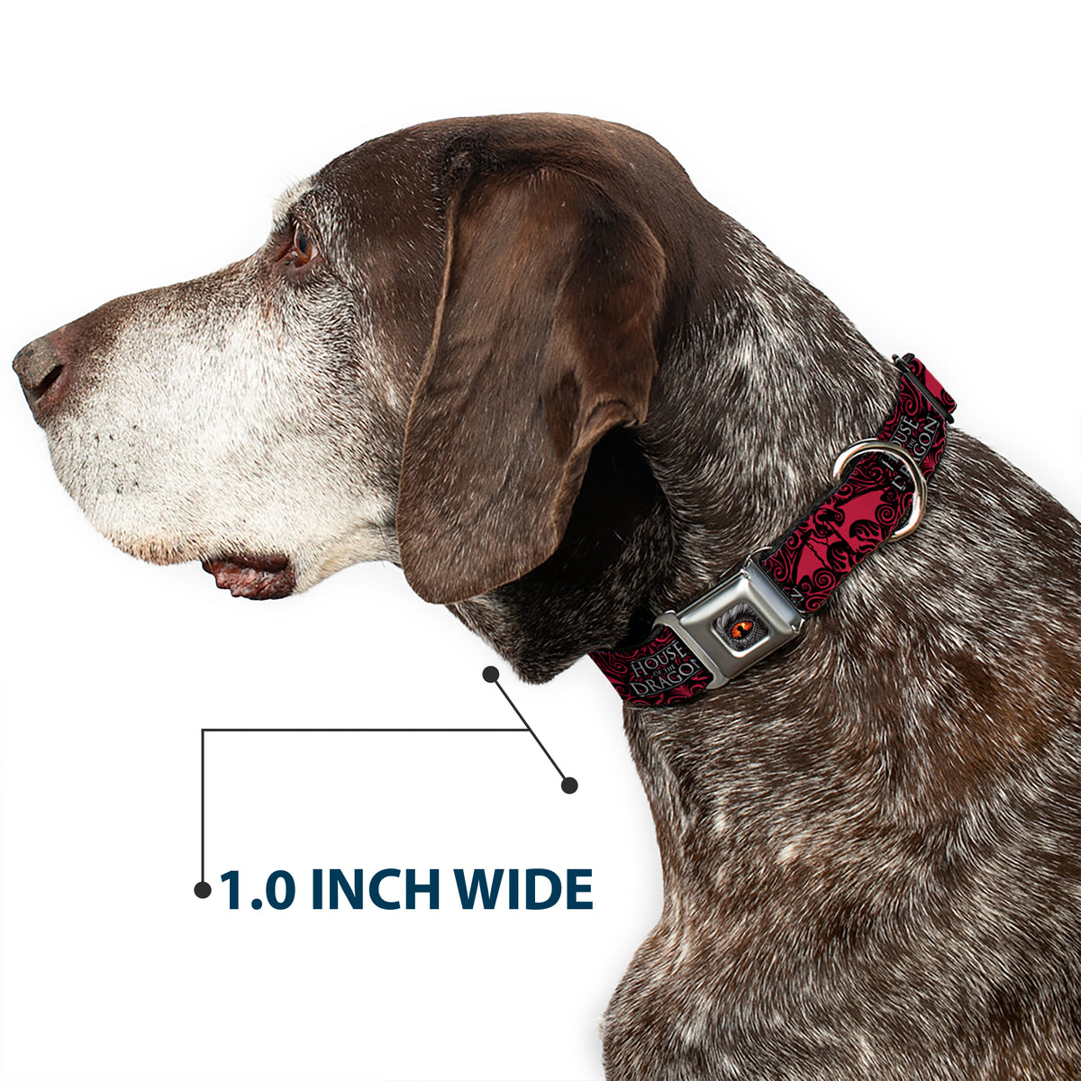House of the Dragon Eye Throne Icon Full Color Black/Gray/Orange Seatbelt Buckle Collar - HOUSE OF THE DRAGON Dragon Icon Black/Red/White Dog Collars Seatbelt Buckle House of the Dragon