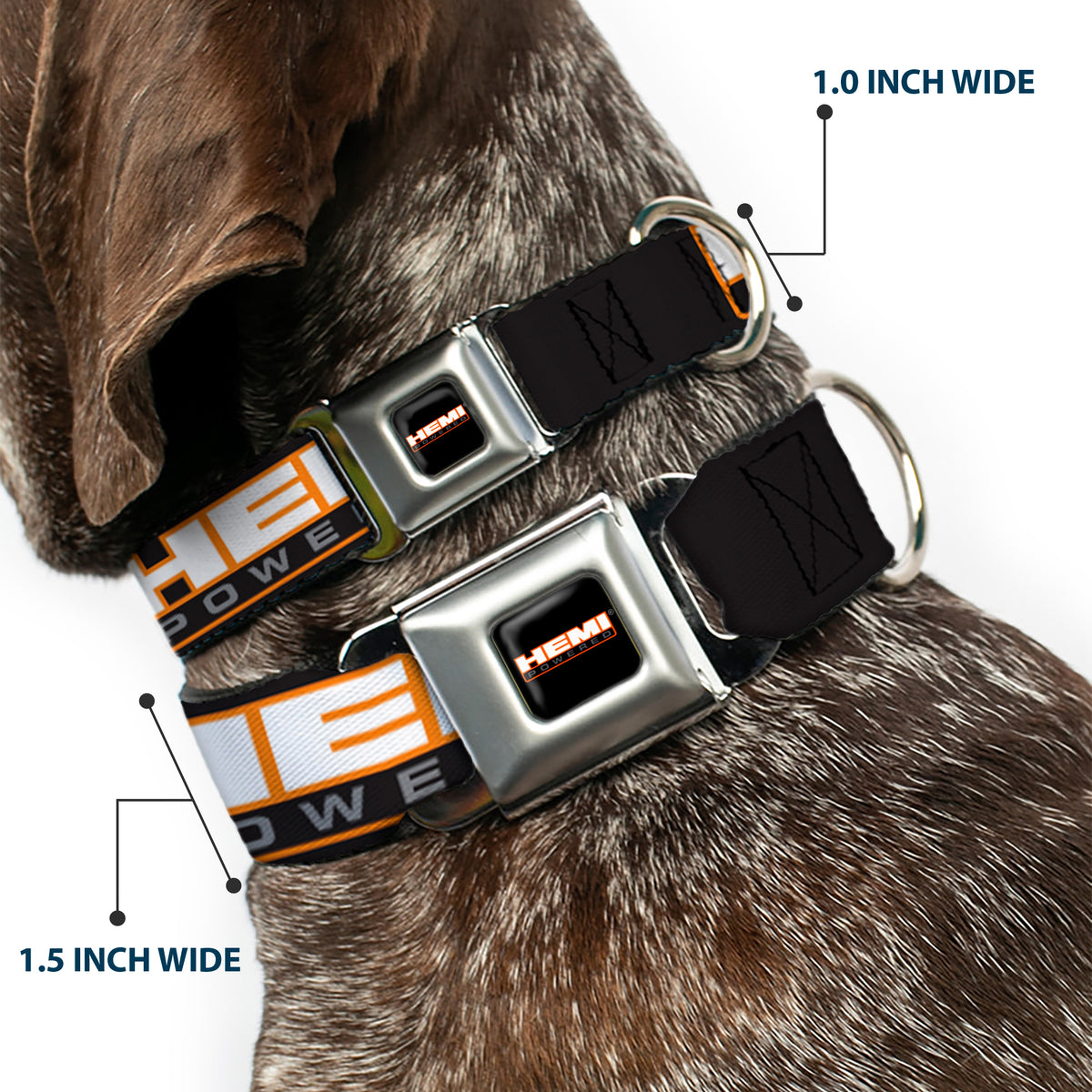 HEMI POWERED Logo Full Color Black/Orange/White/Gray Seatbelt Buckle Collar - HEMI POWERED Logo Repeat Black/Orange/White/Gray Dog Collars Seatbelt Buckle Hemi