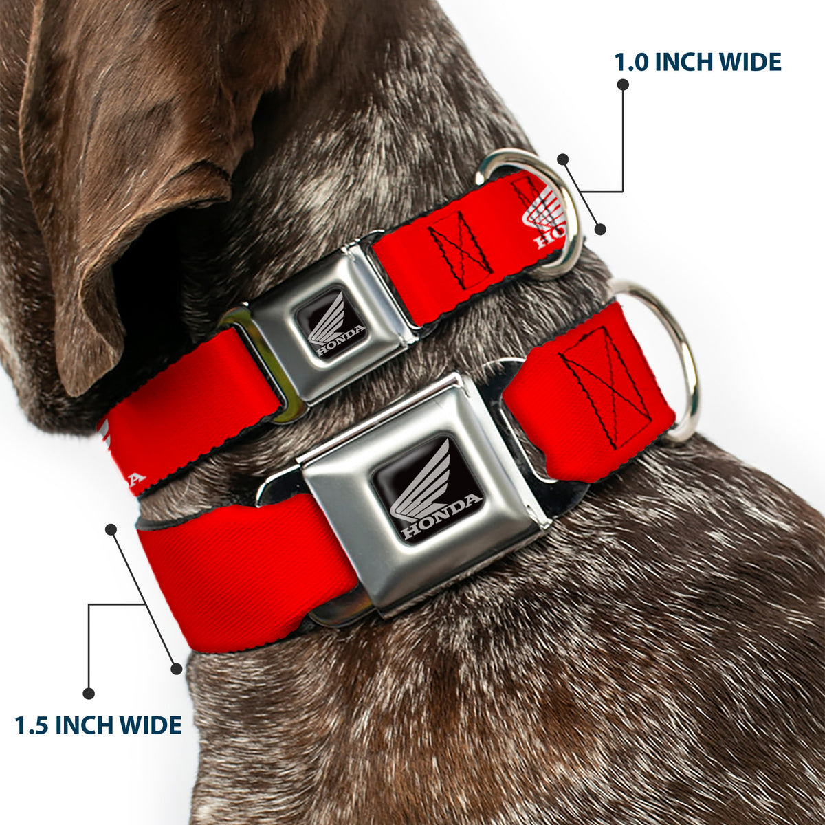 Honda Motorcycle Black/Silver Seatbelt Buckle Collar - HONDA Motorcycle Logo Red/White Dog Collars Seatbelt Buckle Honda Motorsports