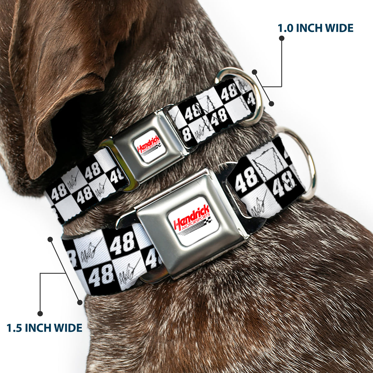 HENDRICK MOTORSPORTS Checker Logo Full Color Red/White Seatbelt Buckle Collar - Alex Bowman Autograph and #48 Checker Logo Black/White Dog Collars Seatbelt Buckle Hendrick Motorsports