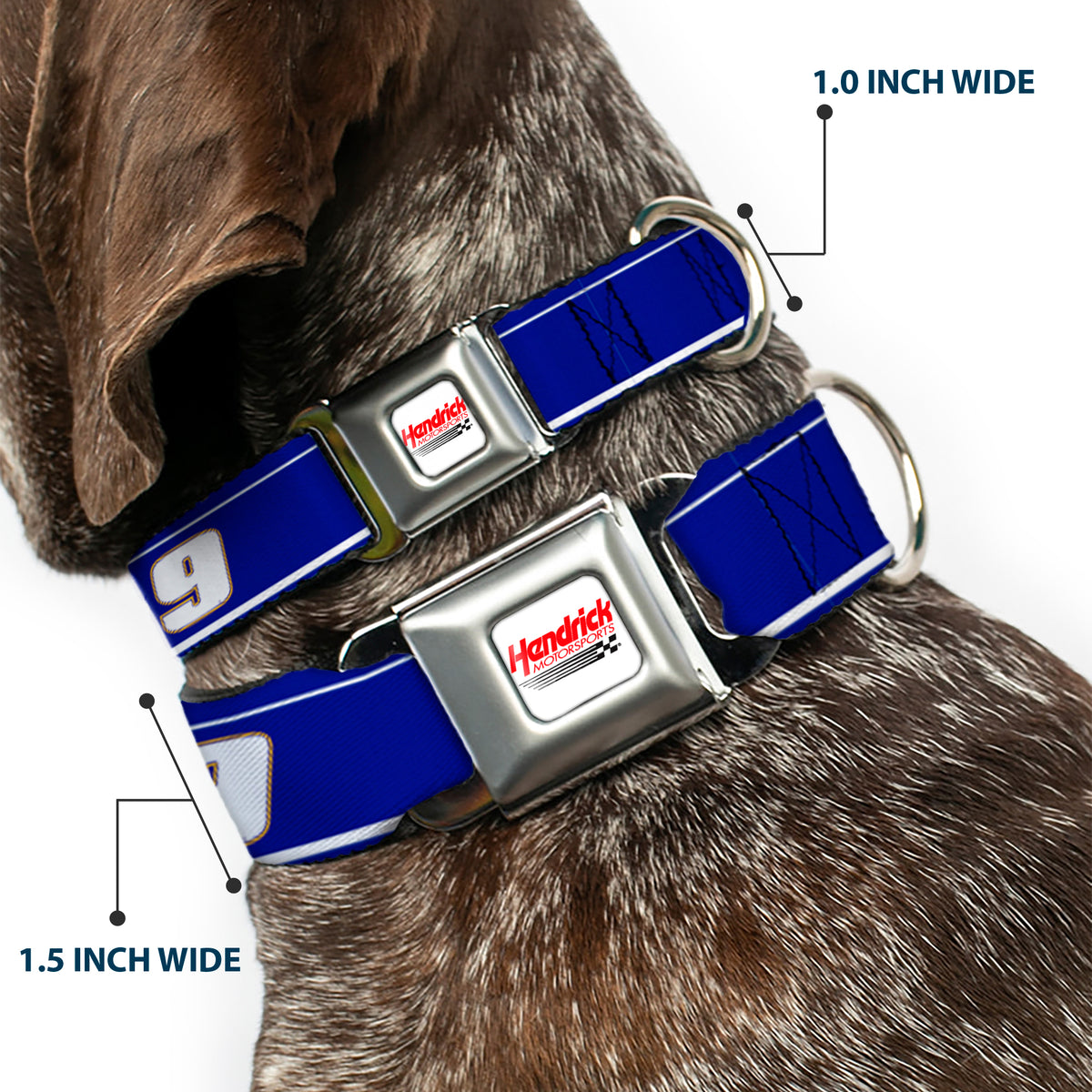 HENDRICK MOTORSPORTS Checker Logo Full Color Red/White Seatbelt Buckle Collar - Chase Elliott #9 Car Scheme Blue/Yellow/White Dog Collars Seatbelt Buckle Hendrick Motorsports