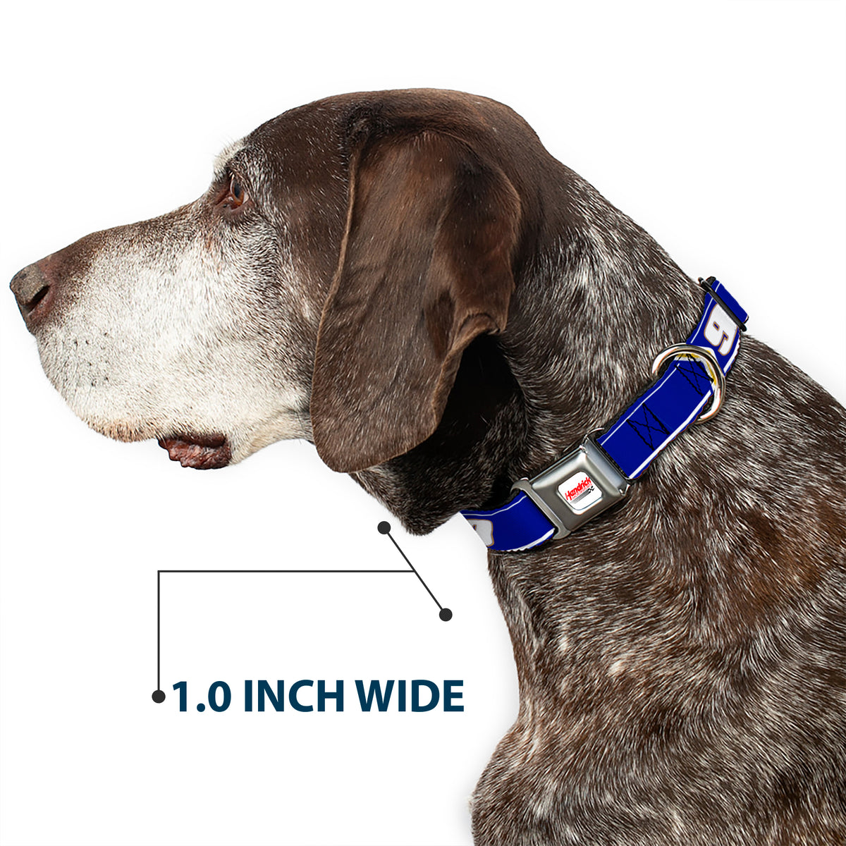 HENDRICK MOTORSPORTS Checker Logo Full Color Red/White Seatbelt Buckle Collar - Chase Elliott #9 Car Scheme Blue/Yellow/White Dog Collars Seatbelt Buckle Hendrick Motorsports