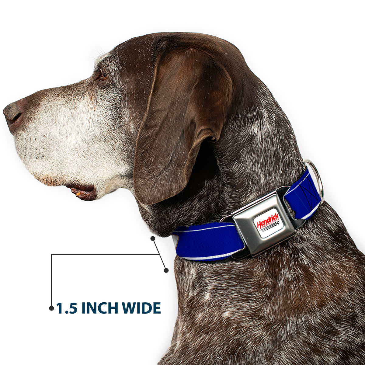 HENDRICK MOTORSPORTS Checker Logo Full Color Red/White Seatbelt Buckle Collar - Chase Elliott #9 Car Scheme Blue/Yellow/White Dog Collars Seatbelt Buckle Hendrick Motorsports