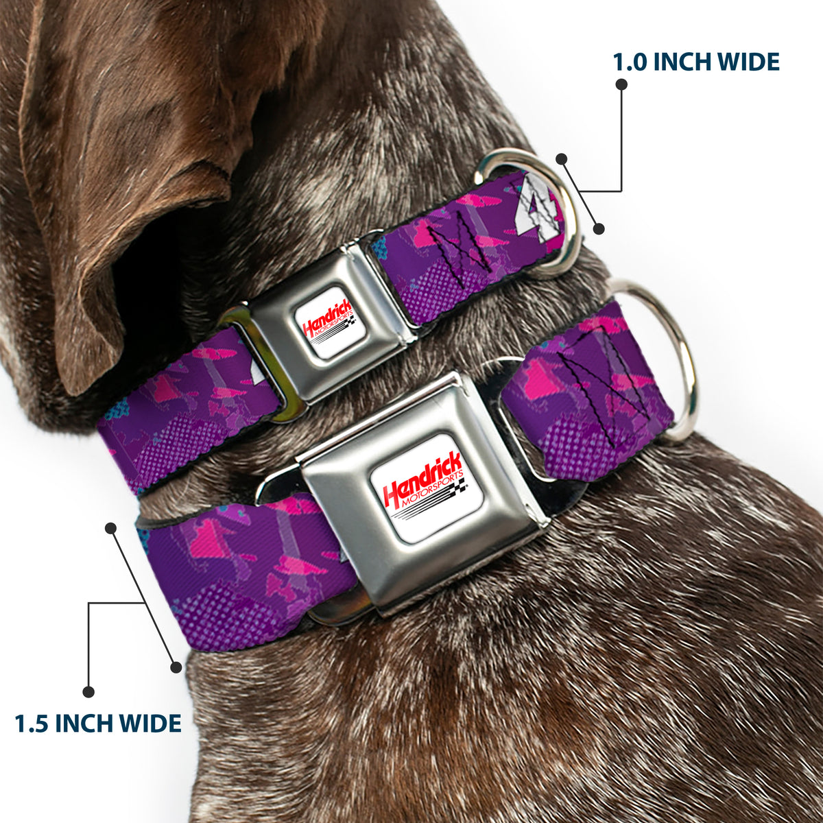 HENDRICK MOTORSPORTS Checker Logo Full Color Red/White Seatbelt Buckle Collar - Alex Bowman #48 Car Scheme Purples/Pinks/White Dog Collars Seatbelt Buckle Hendrick Motorsports
