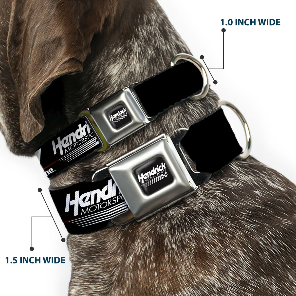 HENDRICK MOTORSPORTS Checker Logo Full Color Black/White Seatbelt Buckle Collar - Kyle Larson #5 Autograph VALVOLINE Hendrick Motorsports Logo Black/Red/White/Blue Dog Collars Seatbelt Buckle Hendrick Motorsports