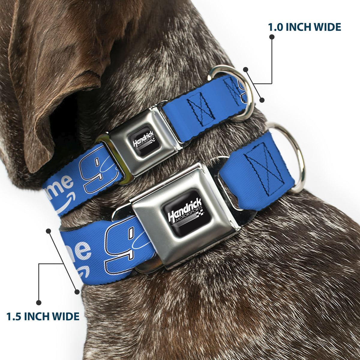 HENDRICK MOTORSPORTS Checker Logo Full Color Black/White Seatbelt Buckle Collar - Chase Elliott #9 Autograph PRIME Logo Blue/Black/White Dog Collars Seatbelt Buckle Hendrick Motorsports