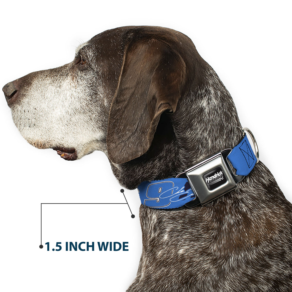 HENDRICK MOTORSPORTS Checker Logo Full Color Black/White Seatbelt Buckle Collar - Chase Elliott #9 Autograph PRIME Logo Blue/Black/White Dog Collars Seatbelt Buckle Hendrick Motorsports