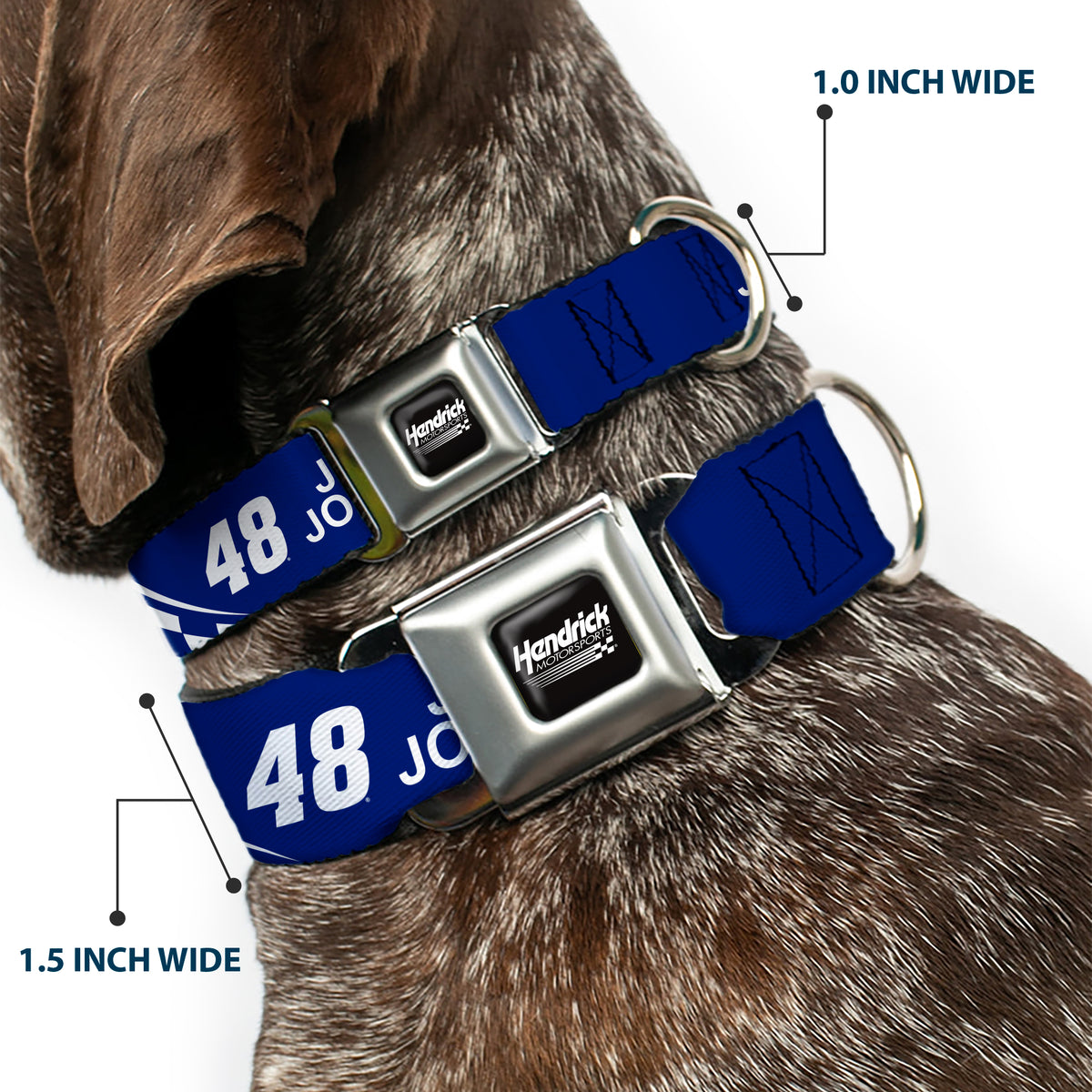 HENDRICK MOTORSPORTS Checker Logo Full Color Black/White Seatbelt Buckle Collar - JIMMIE JOHNSON #48 LOWE'S Logo Checker Blue/White Dog Collars Seatbelt Buckle Hendrick Motorsports