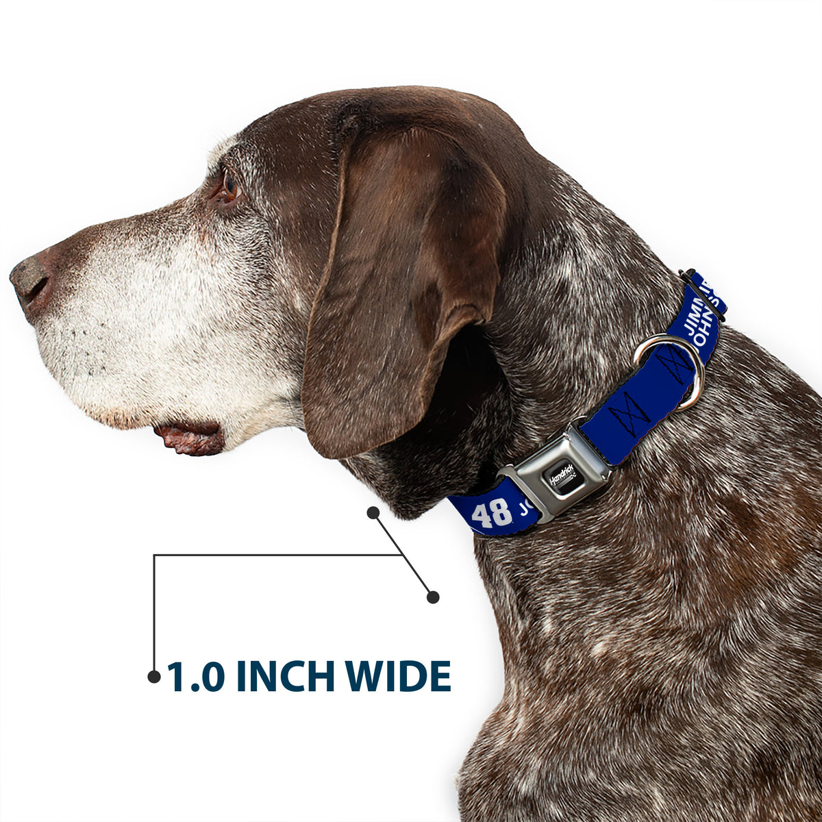 HENDRICK MOTORSPORTS Checker Logo Full Color Black/White Seatbelt Buckle Collar - JIMMIE JOHNSON #48 LOWE'S Logo Checker Blue/White Dog Collars Seatbelt Buckle Hendrick Motorsports