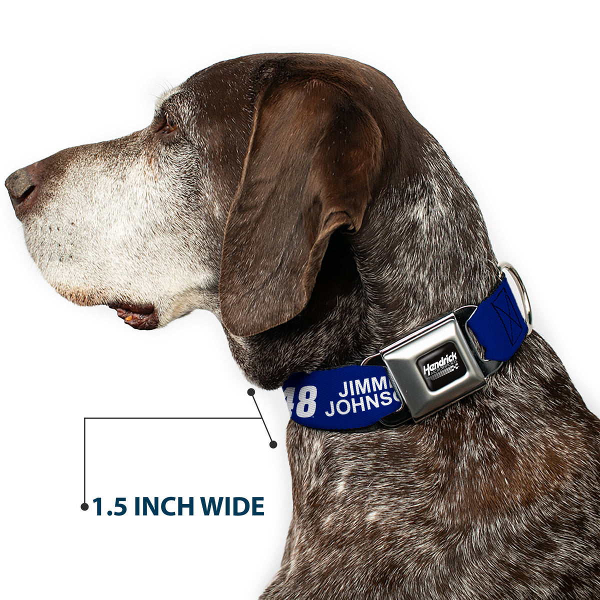HENDRICK MOTORSPORTS Checker Logo Full Color Black/White Seatbelt Buckle Collar - JIMMIE JOHNSON #48 LOWE'S Logo Checker Blue/White Dog Collars Seatbelt Buckle Hendrick Motorsports