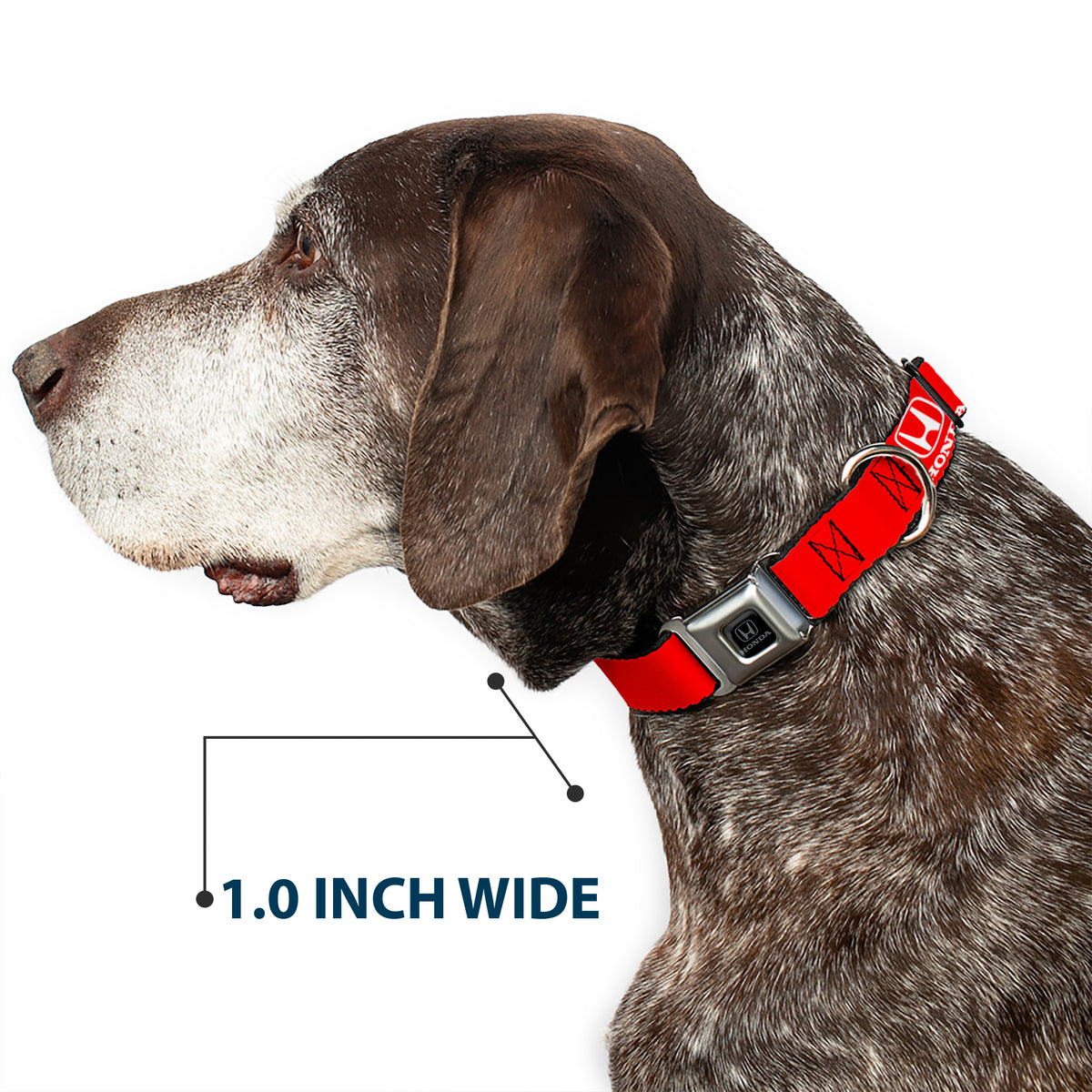 Honda Seatbelt Buckle Collar - Honda Logo Red/White Dog Collars Seatbelt Buckle Honda
