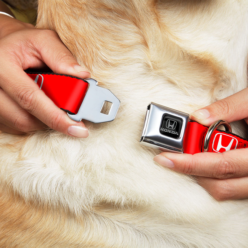 Honda Seatbelt Buckle Collar - Honda Logo Red/White Dog Collars Seatbelt Buckle Honda