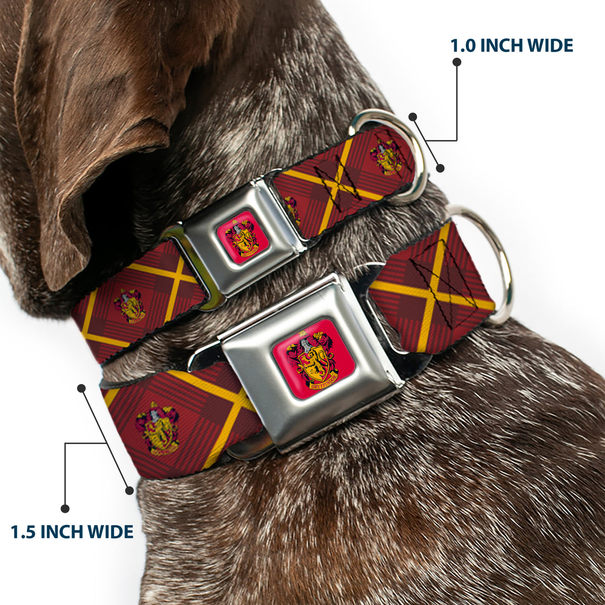 Gryffindor Crest Full Color Red Seatbelt Buckle Collar - Harry Potter Gryffindor Crest Plaid Reds/Gold Dog Collars Seatbelt Buckle Harry Potter