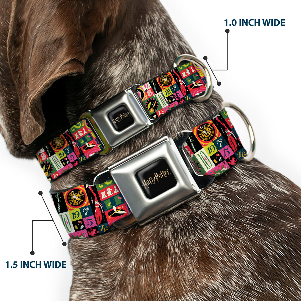 HARRY POTTER Title Logo Full Color Black Seatbelt Buckle Collar - Harry Potter Deck the Holidays Christmas Collage Multi Color Dog Collars Seatbelt Buckle Harry Potter
