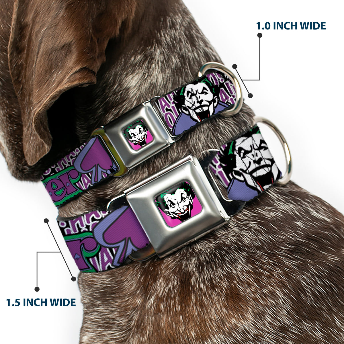 Joker Face Full Color Seatbelt Buckle Collar - Joker Face/Logo/Spades Black/White/Purple Dog Collars Seatbelt Buckle DC Comics