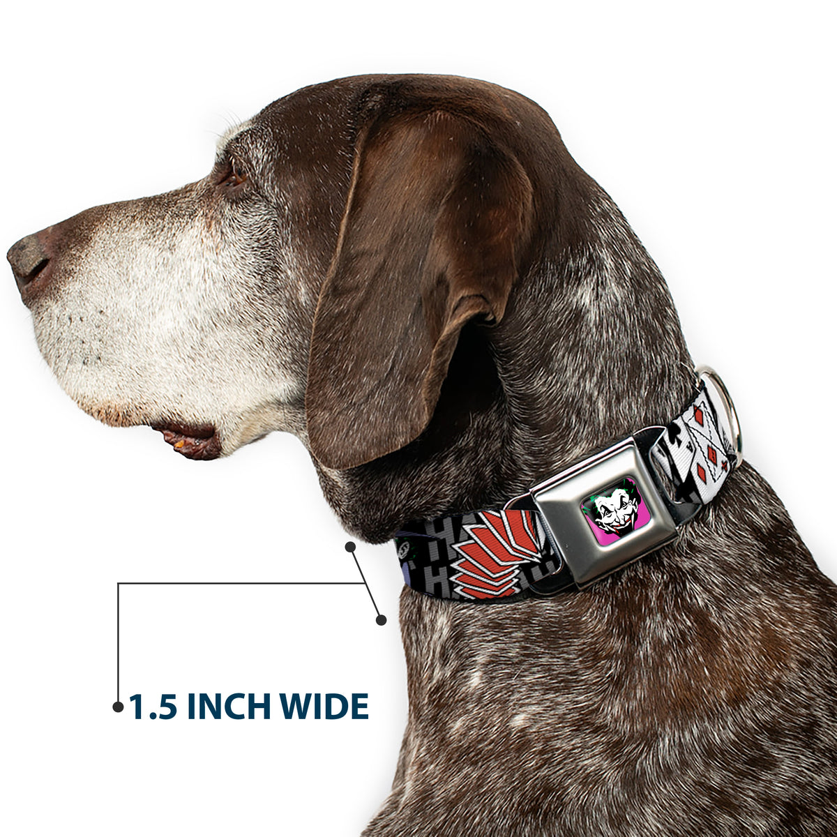 Joker Face Full Color Seatbelt Buckle Collar - The Joker Pose/Cards/HAHAHAHA Black/Gray Dog Collars Seatbelt Buckle DC Comics