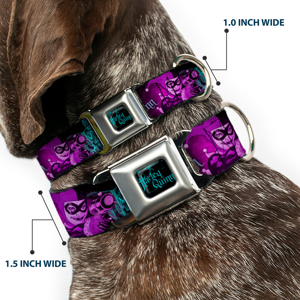 HARLEY QUINN Full Color Black Turquoise Seatbelt Buckle Collar - HARLEY QUINN Pow & Aiming Poses/Joker Sketch Black/Turquoise/Fuchsia Dog Collars Seatbelt Buckle DC Comics