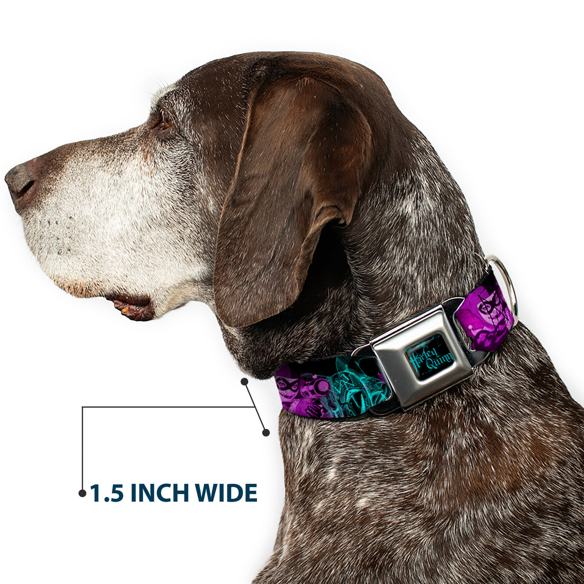 HARLEY QUINN Full Color Black Turquoise Seatbelt Buckle Collar - HARLEY QUINN Pow & Aiming Poses/Joker Sketch Black/Turquoise/Fuchsia Dog Collars Seatbelt Buckle DC Comics