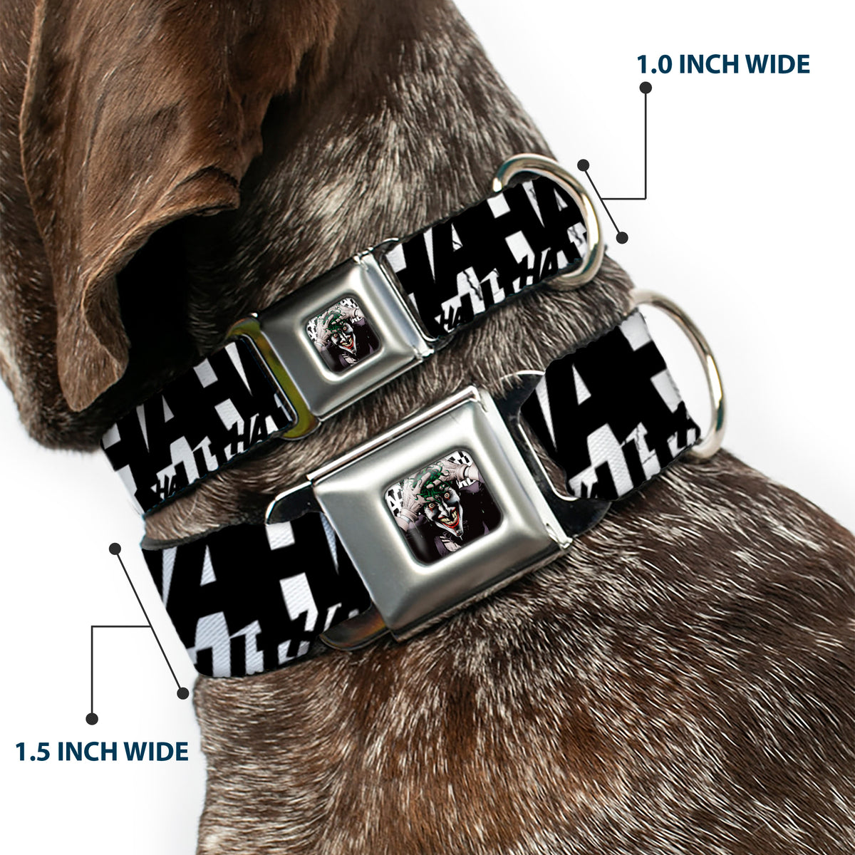Joker The Killing Joke Holding Head Pose CLOSE-UP Full Color Seatbelt Buckle Collar - Joker's HA HA HA Repeat White/Black Dog Collars Seatbelt Buckle DC Comics