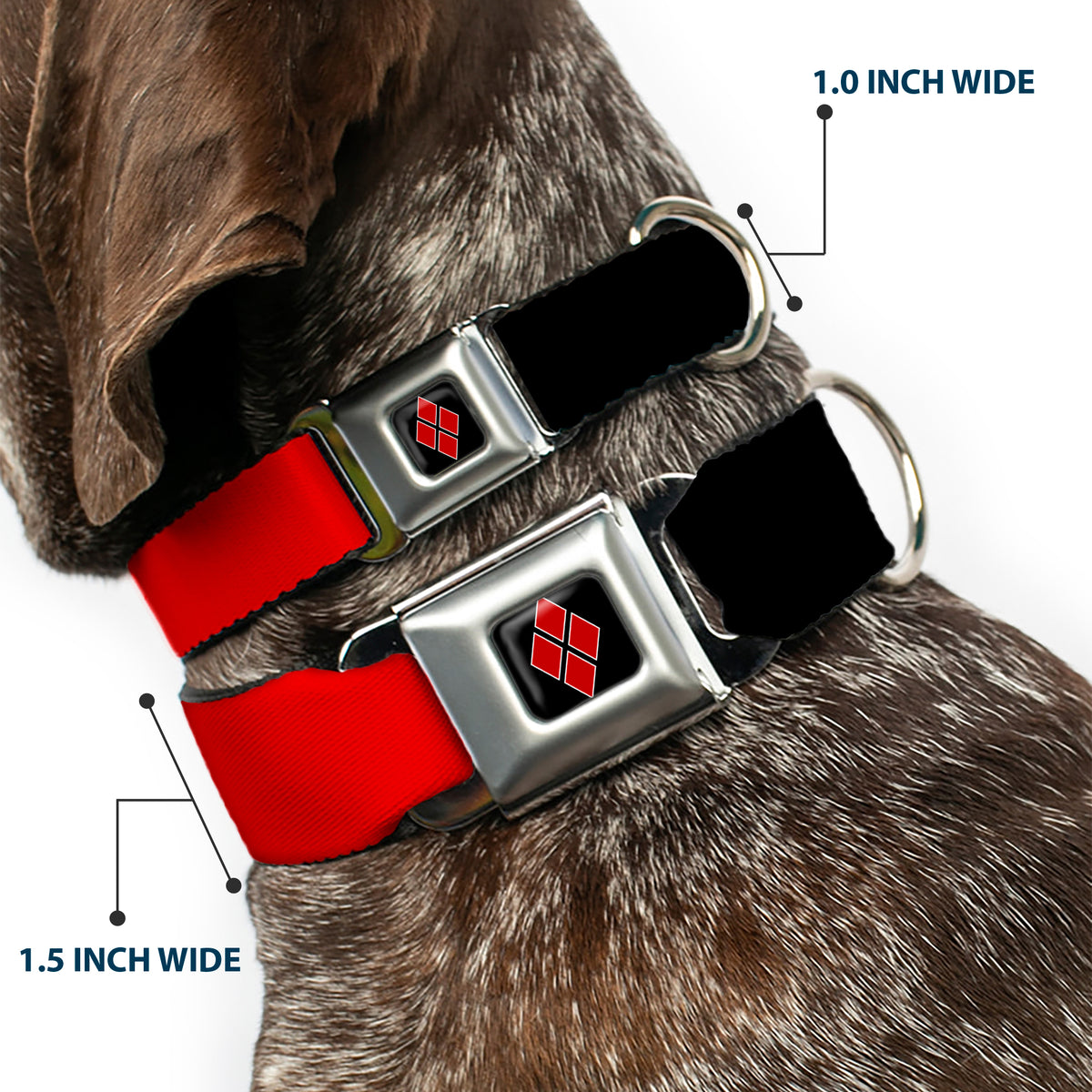 Harley Quinn Diamond Full Color Black Red Seatbelt Buckle Collar - HARLEY QUINN/Diamonds Black/Red/White Dog Collars Seatbelt Buckle DC Comics