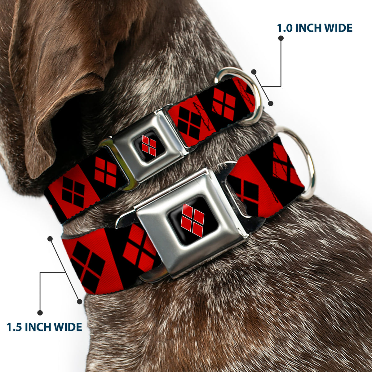 Harley Quinn Diamond Full Color Black Red Seatbelt Buckle Collar - Harley Quinn Diamond Blocks Red/Black Black/Red Dog Collars Seatbelt Buckle DC Comics