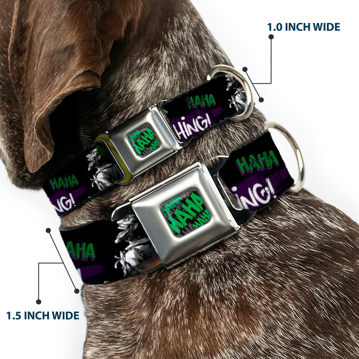 HAHA Stacked Black/Gray/Green Seatbelt Buckle Collar - Joker DIE LAUGHING! HAHA Black/Purple/Green Dog Collars Seatbelt Buckle DC Comics