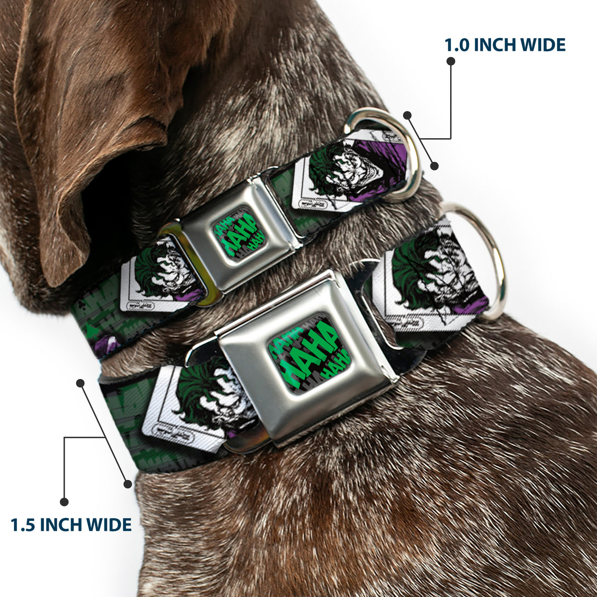 HAHA Stacked Full Color Black/Gray/Green Seatbelt Buckle Collar - The Joker 4-Poses/Joker Card HAHA/Smile/BANG! Grays/Greens/Purples Dog Collars Seatbelt Buckle DC Comics