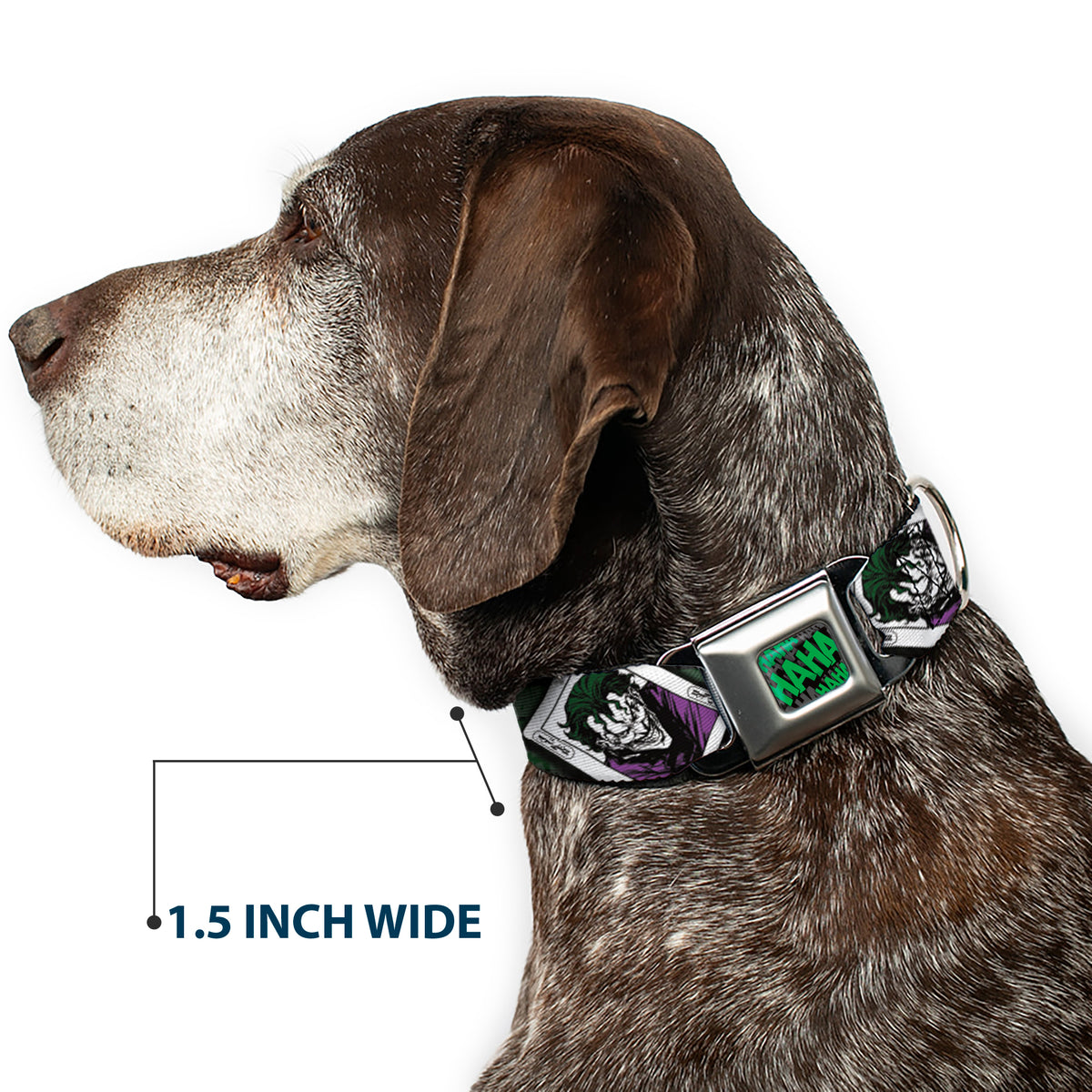 HAHA Stacked Full Color Black/Gray/Green Seatbelt Buckle Collar - The Joker 4-Poses/Joker Card HAHA/Smile/BANG! Grays/Greens/Purples Dog Collars Seatbelt Buckle DC Comics