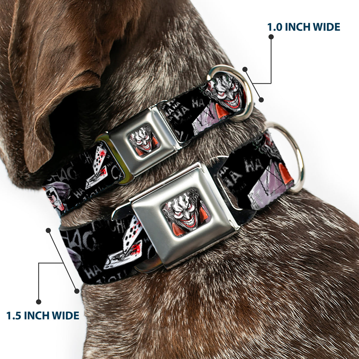 Joker Face Stare Seatbelt Buckle Collar - Joker BRILLIANTLY TWISTED PSYCHO 2-Poses/Cards Black/Grays Dog Collars Seatbelt Buckle DC Comics
