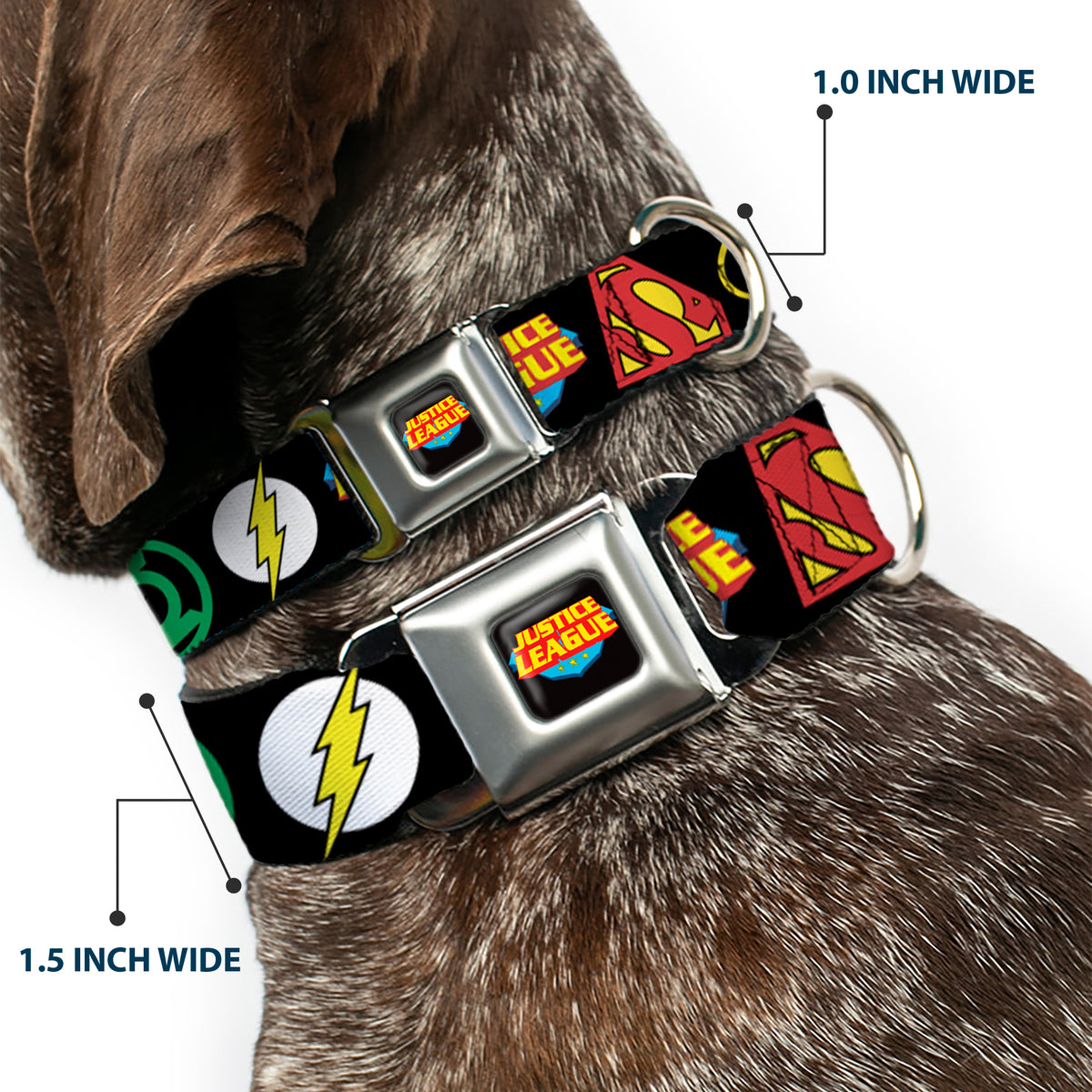 Justice League Shield Full Color Black Blue Red Yellow Seatbelt Buckle Collar - Justice League Superhero Logos CLOSE-UP Black Dog Collars Seatbelt Buckle DC Comics