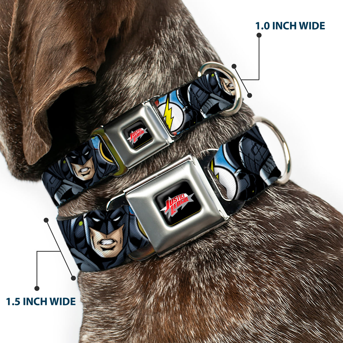 JUSTICE LEAGUE Star Logo Black/Silver-Fade/Red Seatbelt Buckle Collar - Justice League 4-Superhero CLOSE-UP Poses/Logos Dog Collars Seatbelt Buckle DC Comics