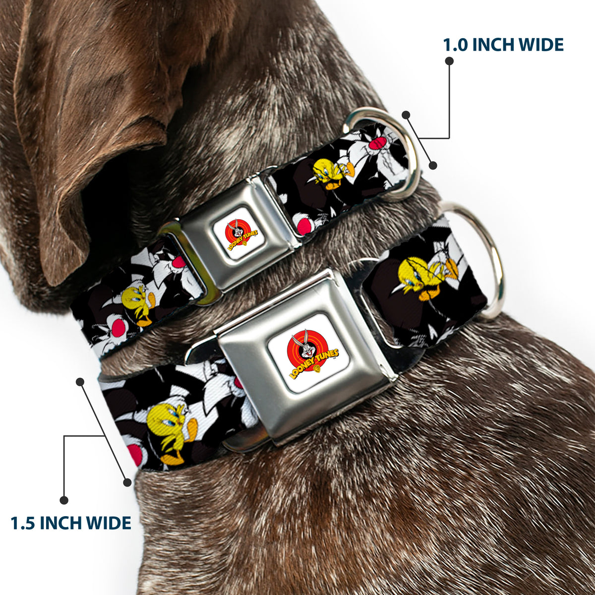 Looney Tunes Logo White Seatbelt Buckle Collar - Sylvester and Tweety Poses Scattered Charcoal Dog Collars Seatbelt Buckle Looney Tunes