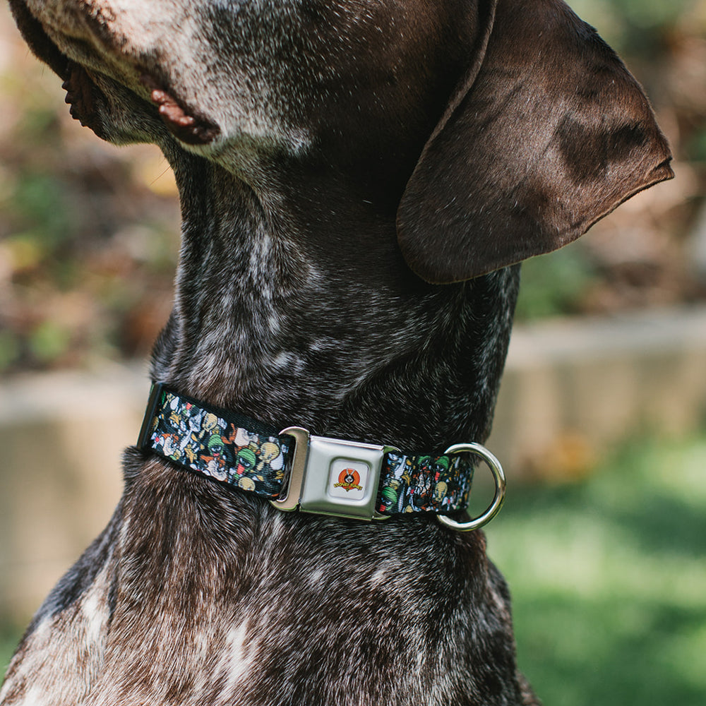 Looney Tunes Logo White Seatbelt Buckle Collar - Looney Tunes 6-Character Stacked Collage4 Dog Collars Seatbelt Buckle Looney Tunes