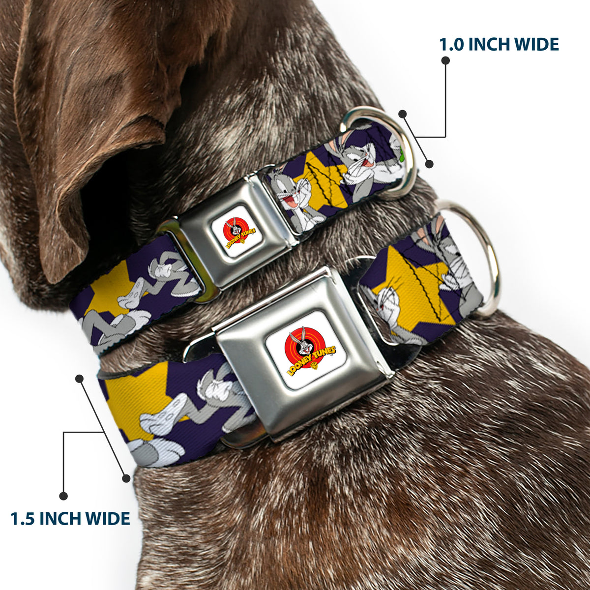 Looney Tunes Logo Full Color White Seatbelt Buckle Collar - Bugs Bunny Poses/Stars Navy Dog Collars Seatbelt Buckle Looney Tunes