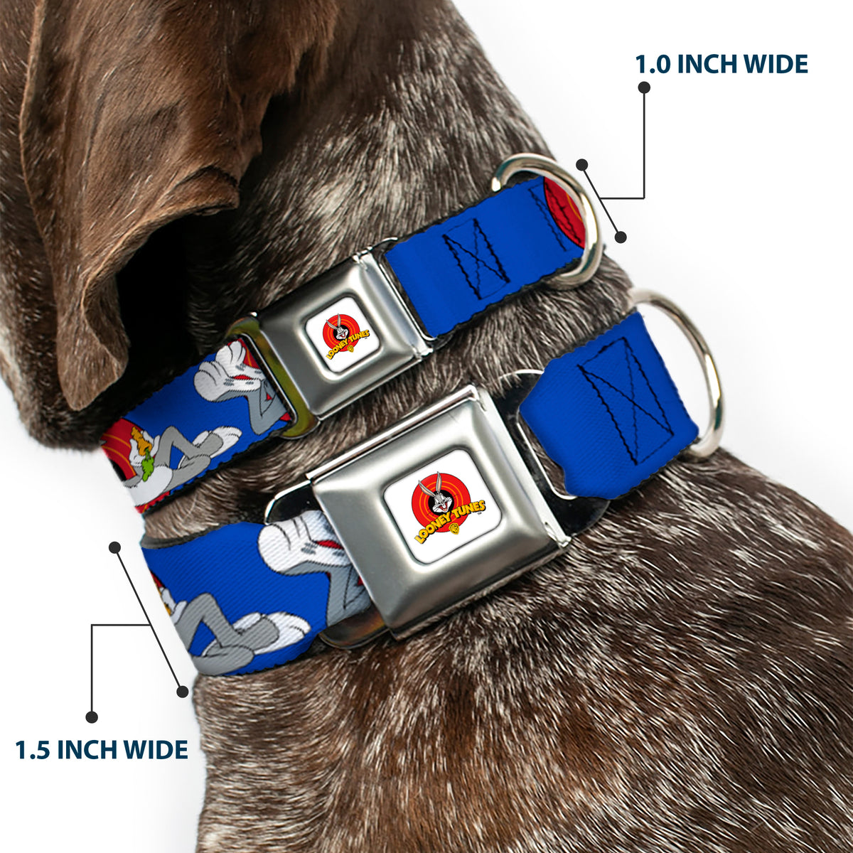Looney Tunes Logo Full Color White Seatbelt Buckle Collar - BUGS BUNNY w/Bugs Poses Blue Dog Collars Seatbelt Buckle Looney Tunes