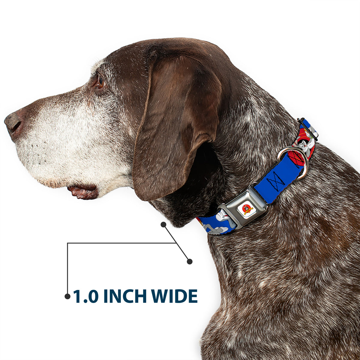 Looney Tunes Logo Full Color White Seatbelt Buckle Collar - BUGS BUNNY w/Bugs Poses Blue Dog Collars Seatbelt Buckle Looney Tunes
