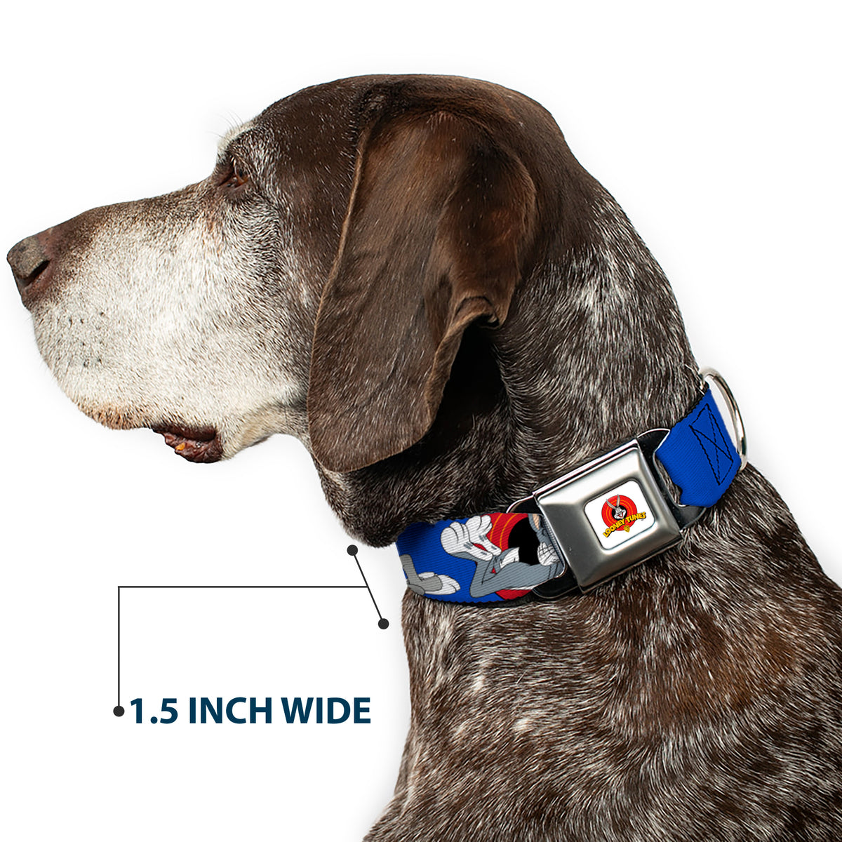 Looney Tunes Logo Full Color White Seatbelt Buckle Collar - BUGS BUNNY w/Bugs Poses Blue Dog Collars Seatbelt Buckle Looney Tunes