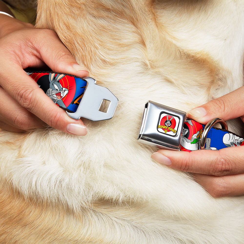 Looney Tunes Logo Full Color White Seatbelt Buckle Collar - BUGS BUNNY w/Bugs Poses Blue Dog Collars Seatbelt Buckle Looney Tunes