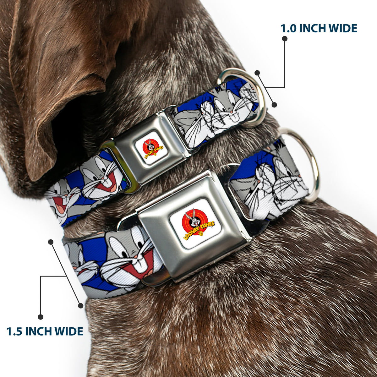 Looney Tunes Logo Full Color White Seatbelt Buckle Collar - Bugs Bunny CLOSE-UP Poses Blue Dog Collars Seatbelt Buckle Looney Tunes