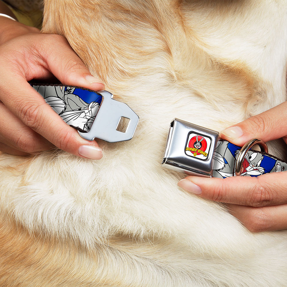 Looney Tunes Logo Full Color White Seatbelt Buckle Collar - Bugs Bunny CLOSE-UP Poses Blue Dog Collars Seatbelt Buckle Looney Tunes