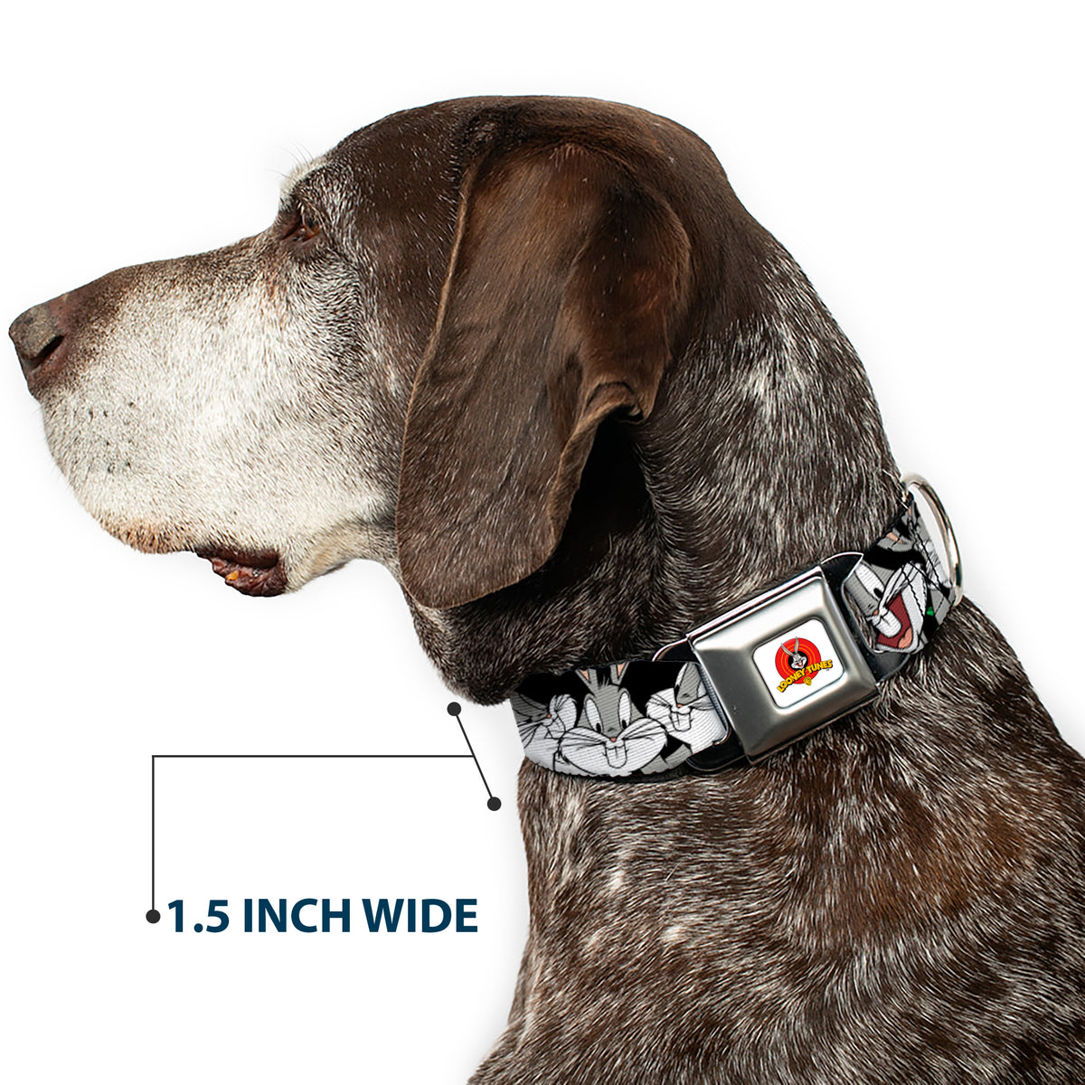 Looney Tunes Logo Full Color White Seatbelt Buckle Collar - Bugs Bunny CLOSE-UP Poses Black Dog Collars Seatbelt Buckle Looney Tunes