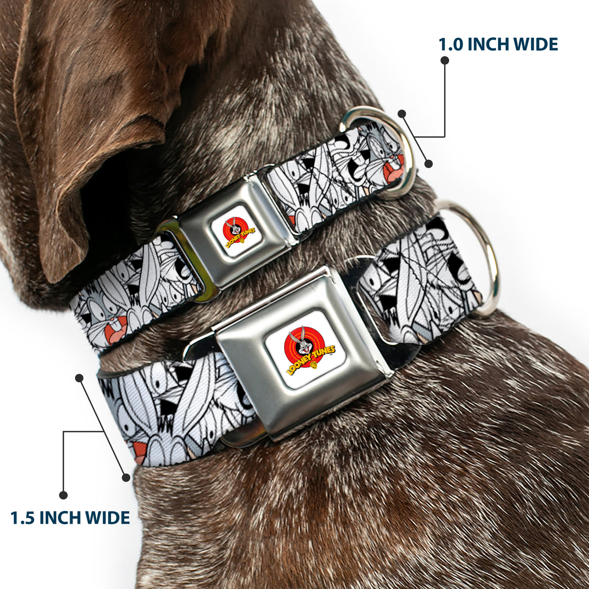 Looney Tunes Logo White Seatbelt Buckle Collar - Bugs Bunny Expressions Stacked White/Black/Gray Dog Collars Seatbelt Buckle Looney Tunes
